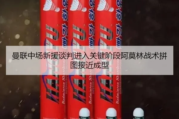 曼联中场新援谈判进入关键阶段阿莫林战术拼图接近成型 | PAGaming